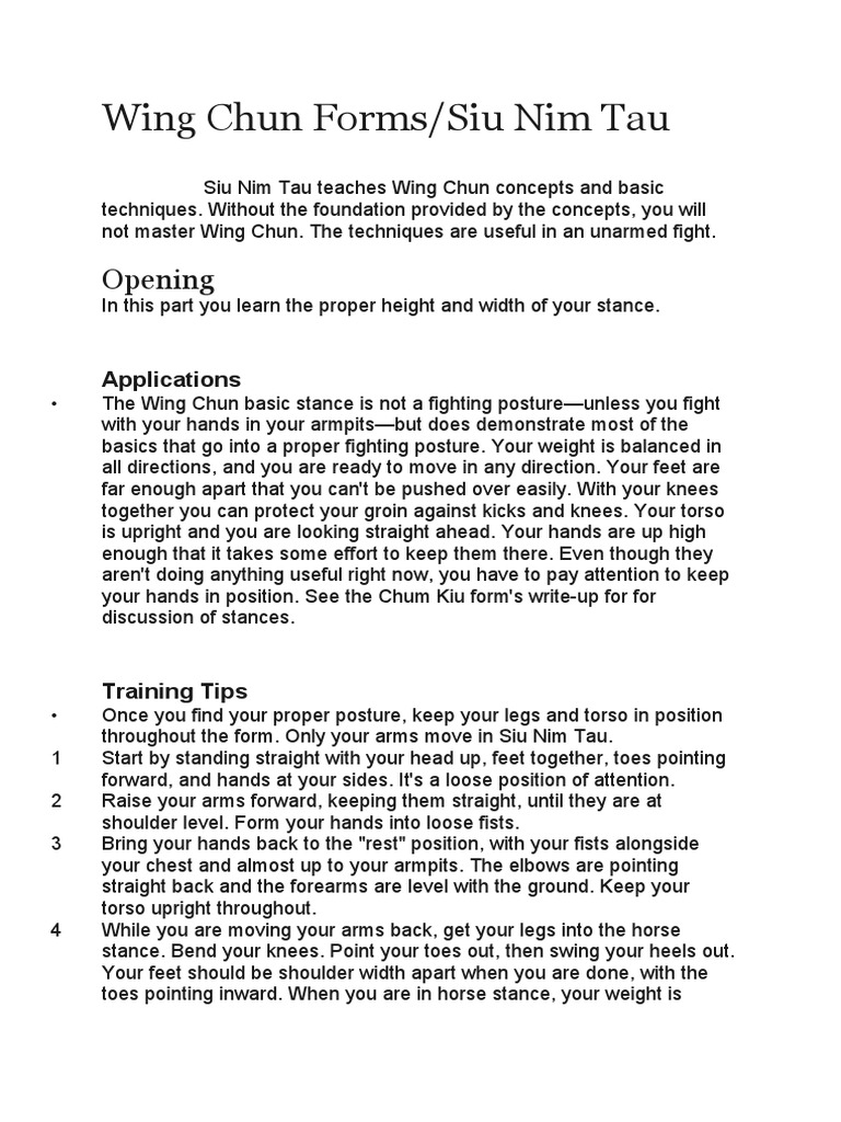Siu Nim Tau: Wing Chun Fundamentals | PDF