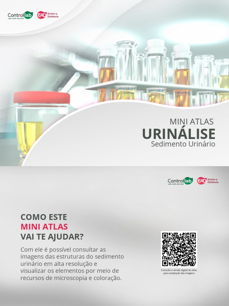 Mini Atlas Sedimentos Urinarios 1 | PDF