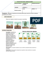 Guia 1 Ciclo Vital Plantas