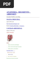 Download Anatomia Abdomen by api-3707147 SN6616532 doc pdf