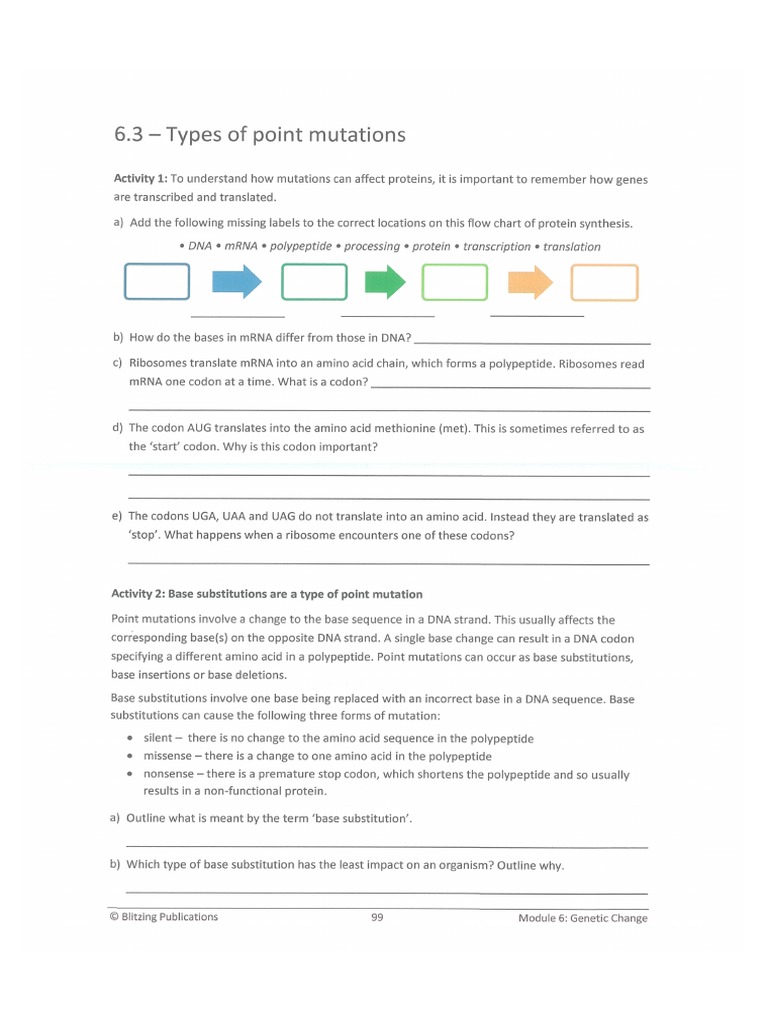 6-3-types-of-point-mutations-pdf