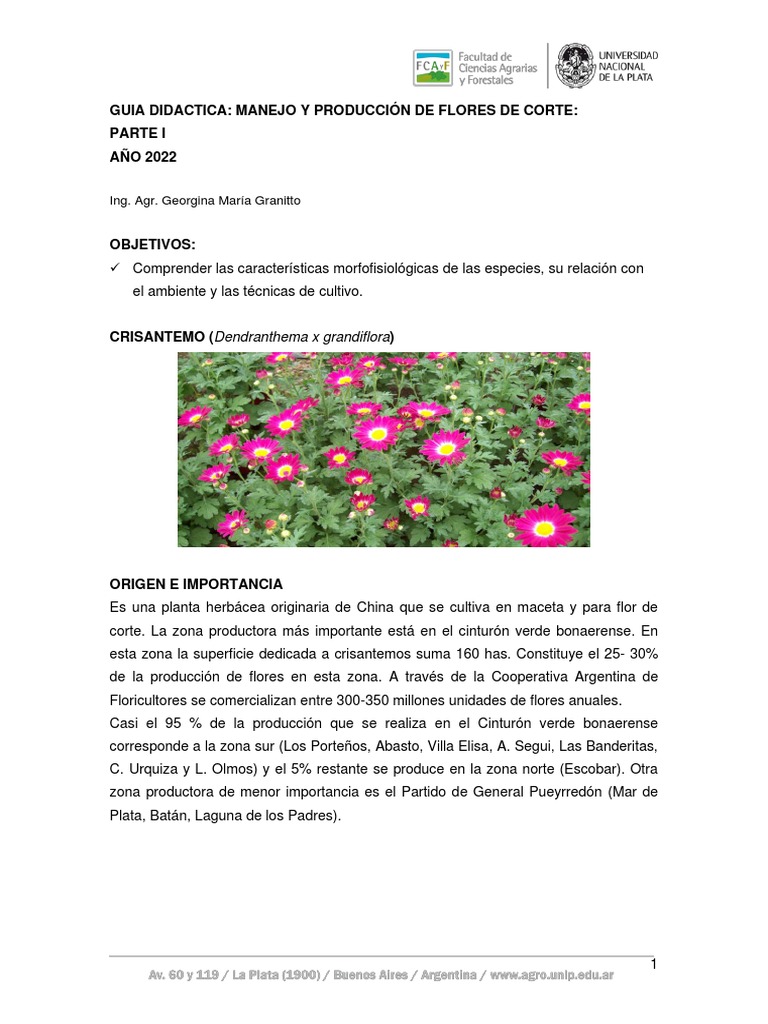 flores-de-corte1-2022-pdf-injerto-flores