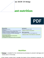 Chapter 6-Plant Nutrition