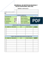 Formato Profesional Informe Mensual 2020