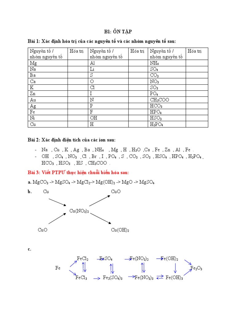 CÁC HỢP CHẤT VÔ CƠ | PDF