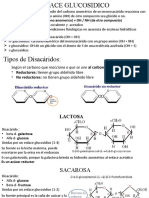 Carbohidratos Bioquimica