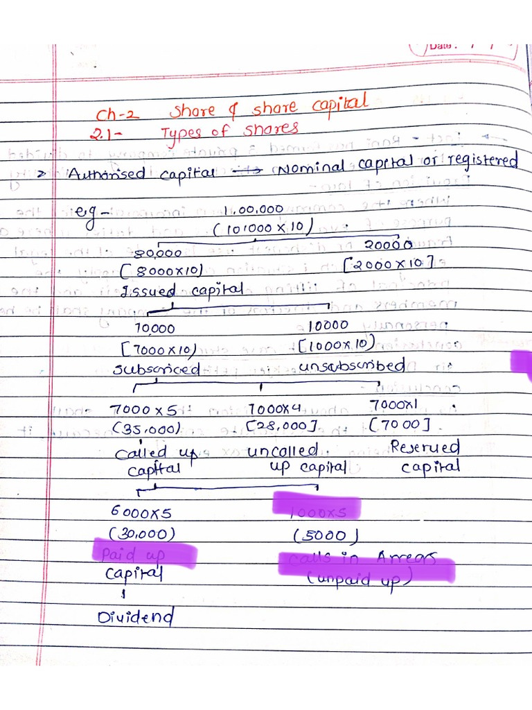 All Chapters Claw Handwritten Notes | PDF