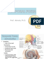 17 - Temporal & Infratemporal Fossae-1