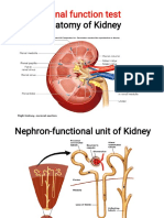 Renal Function Test Amcj 8