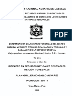 Determinación de Las Características Del Secado Natural Mediante Técnicas de Apilado en Triángulo y Caballete de La Especie Forestal