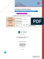 Formato para El Examen Parcial Julio