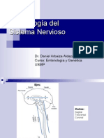 CLASE 10 - Embriología Del Sistema Nervioso