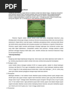 Download Budidaya Kangkung Darat by Rusli Biosfer SN66174970 doc pdf