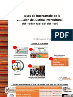 Peru-Mexico (Oaxaca) - CJI 05.08.2021 - Dr. Bustamante