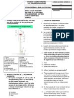 Examen Grado Septimo - Electricidad