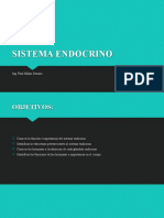 Sistema Endocrino