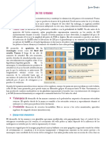 Desarrollo Fisiologico Del Adolescente