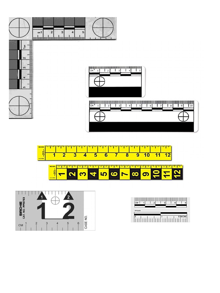 TESTIGOS METRICOS | PDF