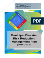 Salcedo MDRRM Plan 2018 2022
