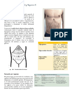 Técnicas de Percusión Abdominal