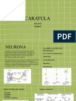 Diapositiva Correciones Tejidos Exitables