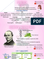 BIOLOGÍA (Genética) @andrewbiology