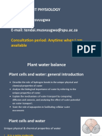 1 Plant Water Balance