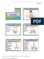 Respiratory System PPT (Biology)
