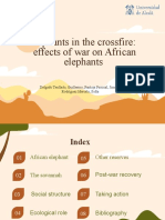 Elephant PowerPoint Template