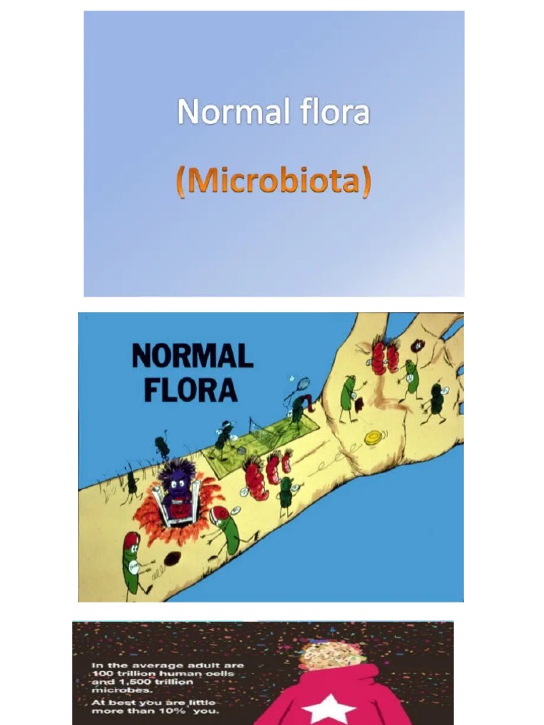 7 normal flora pdf microbiota medical specialties