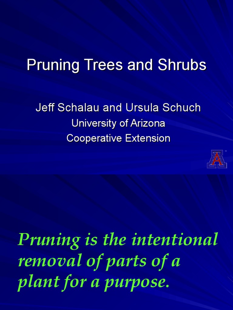 Pruning Ornamental Trees and Shrubs PDF