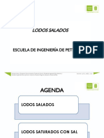 Mtorresl - Lodos Con Sal-2021-2