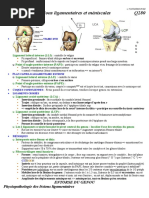 Examen clinique du genou douloureux | PDF | Genou | Douleur