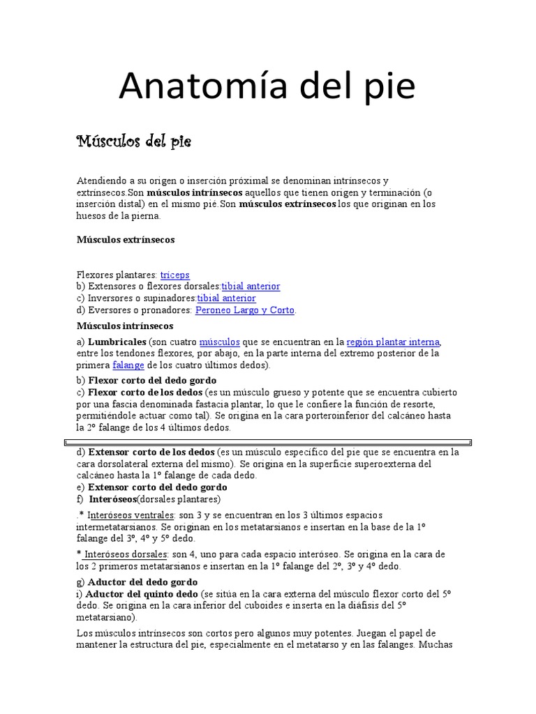Anatomía Del Pie | PDF | Pie | Sistema esquelético