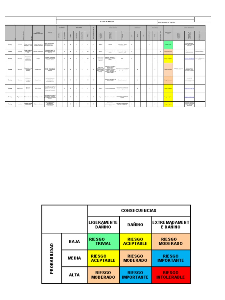 Matriz de Riesgos Laborales Actualizada | PDF | Dolor lumbar | Medicina ...