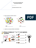 Evaluacion de Conjuntos