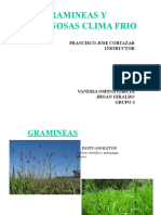 3.expo Leguminosas y Gramineas