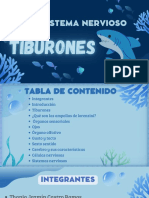 Correccion Exposicion Sistema Nervioso Tiburones