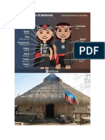 mapuche