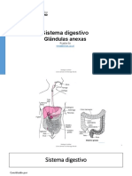 Sistema Digestivo. Glândulas Anexas