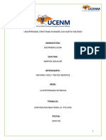 Informe H. Pylori