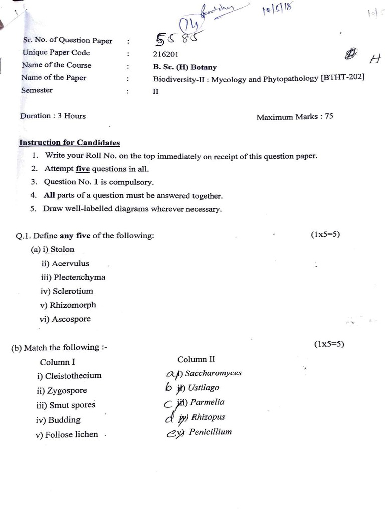 B.Sc. (H) Botany-2nd Semester-2018 | PDF | Fungus | Biology