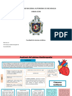 Anatomia y Fisiologia de Cardiovascular y Renal, Electiva