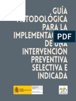 Guia PREVENTIVA (Implementación)