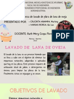 LAVADO DE LANA DE OVEJA