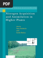 Download Nitrogen Acquisition and Assimilation in Higher Plants Plant Eco Physiology Volume 3 1 by Filip Cristian SN66195406 doc pdf