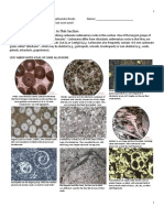 GEOL 332 Fa21 Lab #9 Carbonate Petrography