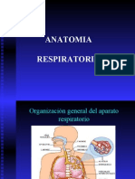 Anatomia Respiratoria