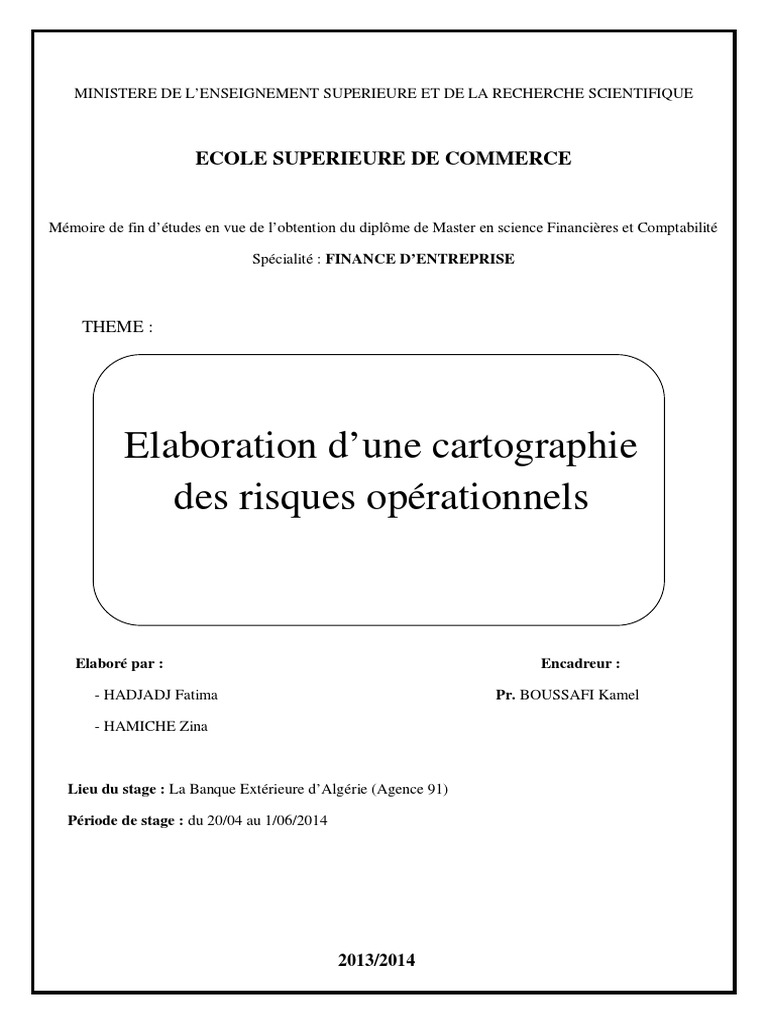 LA Gestion Des Risques Et Cartographie | PDF
