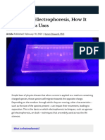 Agarose Gel Electrophoresis, How It Works and Its Uses